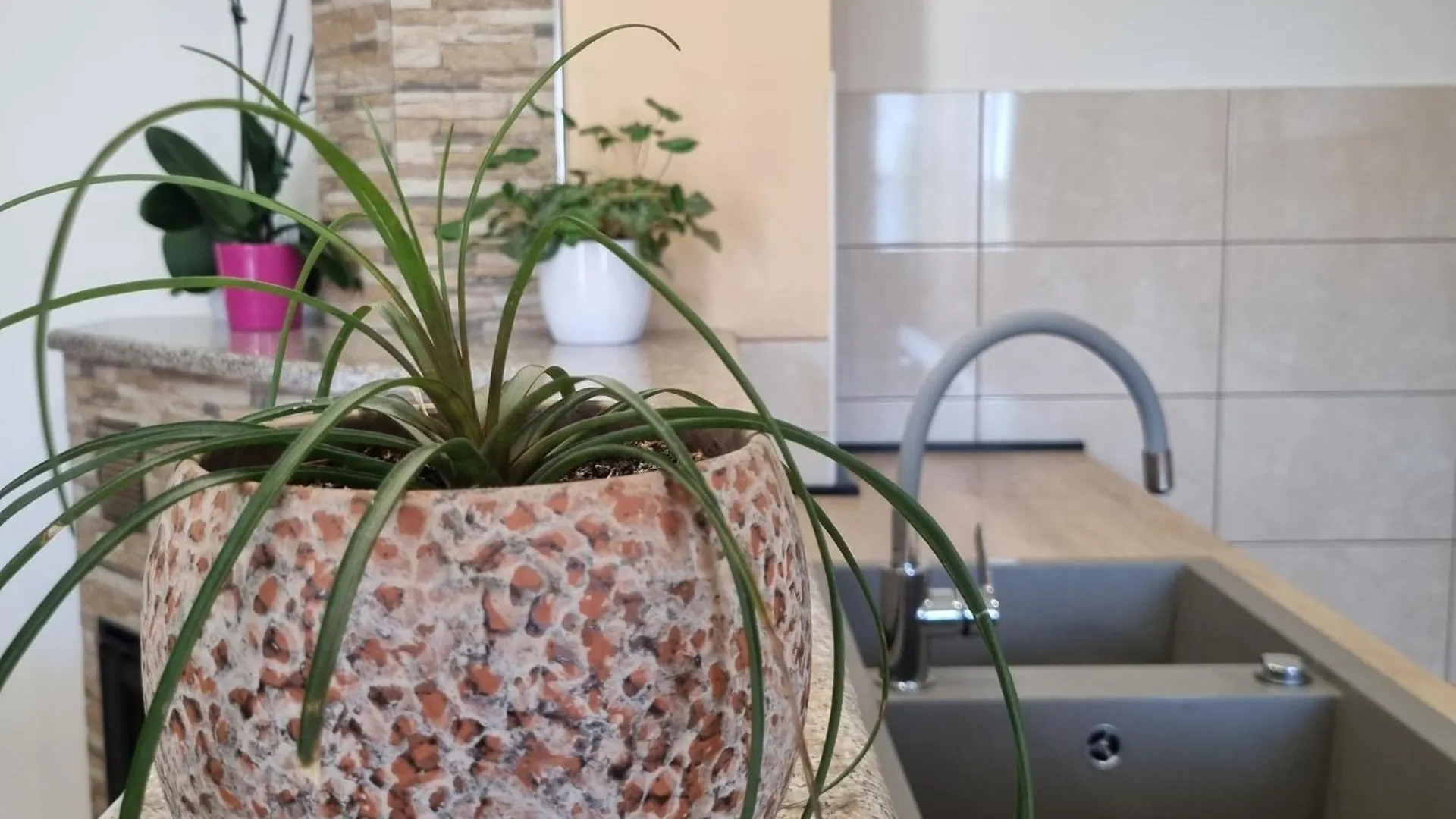 Holiday Apartments Lana Kastela Croatia